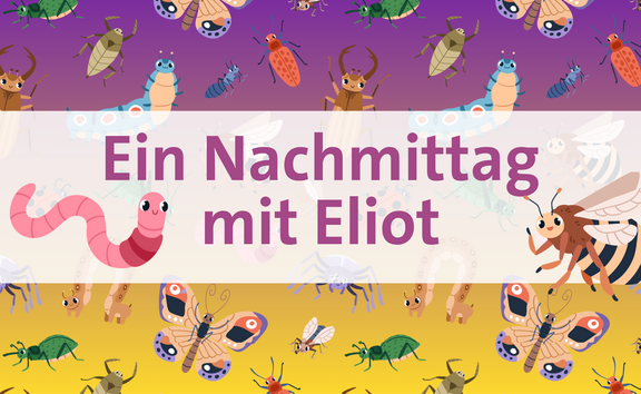 Eliot-Nachmittag im Herbst  